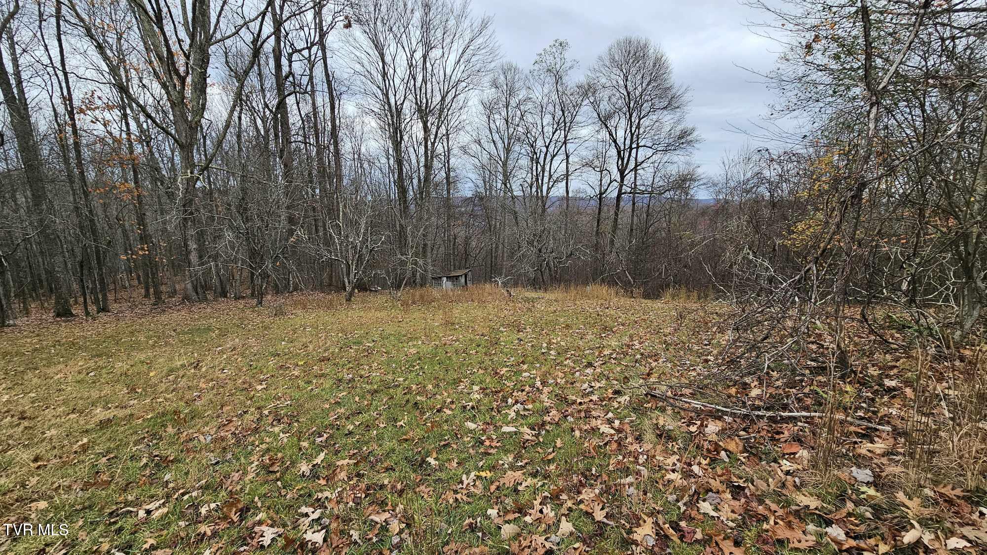 3539 Stone Mountain Road Coeburn, VA 24230 - Photo 8 of 27 7