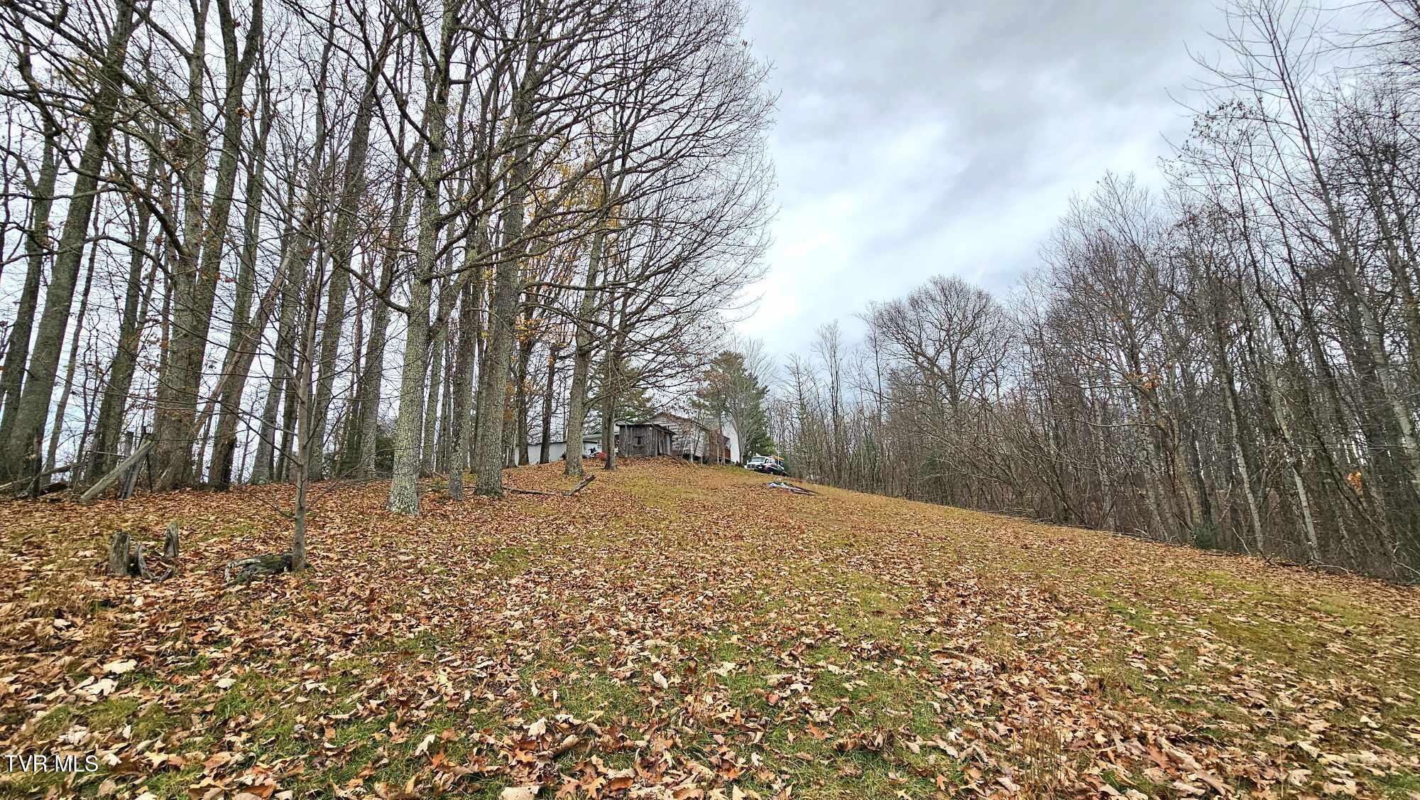 3539 Stone Mountain Road Coeburn, VA 24230 - Photo 10 of 27 10