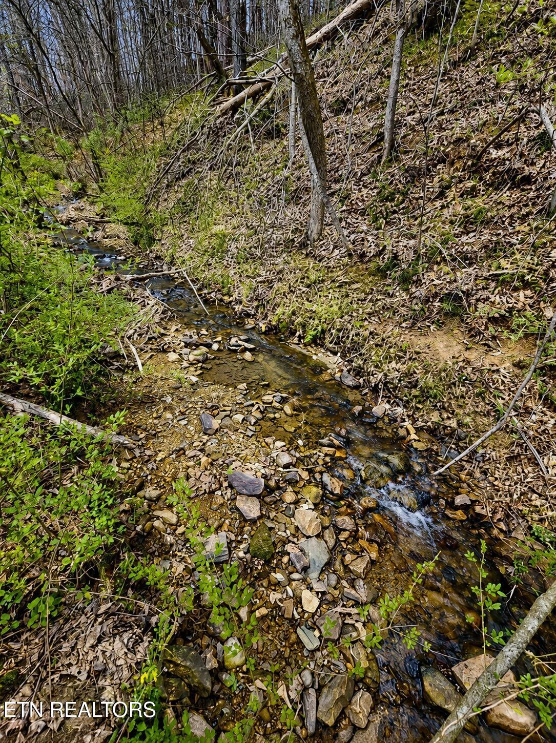 4231 Rocky Branch Road Walland, TN 37886 - Photo 42 of 42 32ab02f1-8b39-4d44-a089-5bf8565b96c6