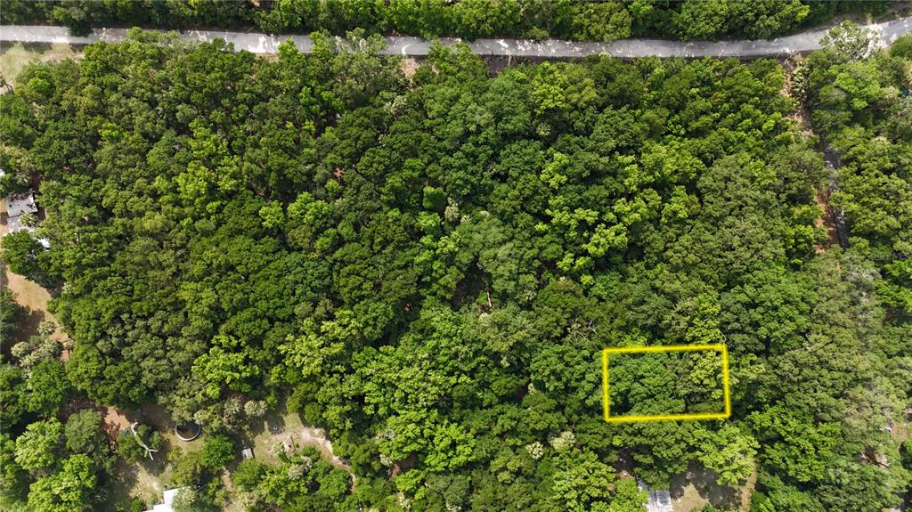 2381 North Junglecamp Road Inverness, FL 34453 - Photo 2 of 15