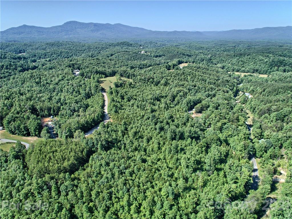 0 Bill Jackson Road Mill Spring, NC 28756 - Photo 15 of 24 a view of a lush green hillside and a houses