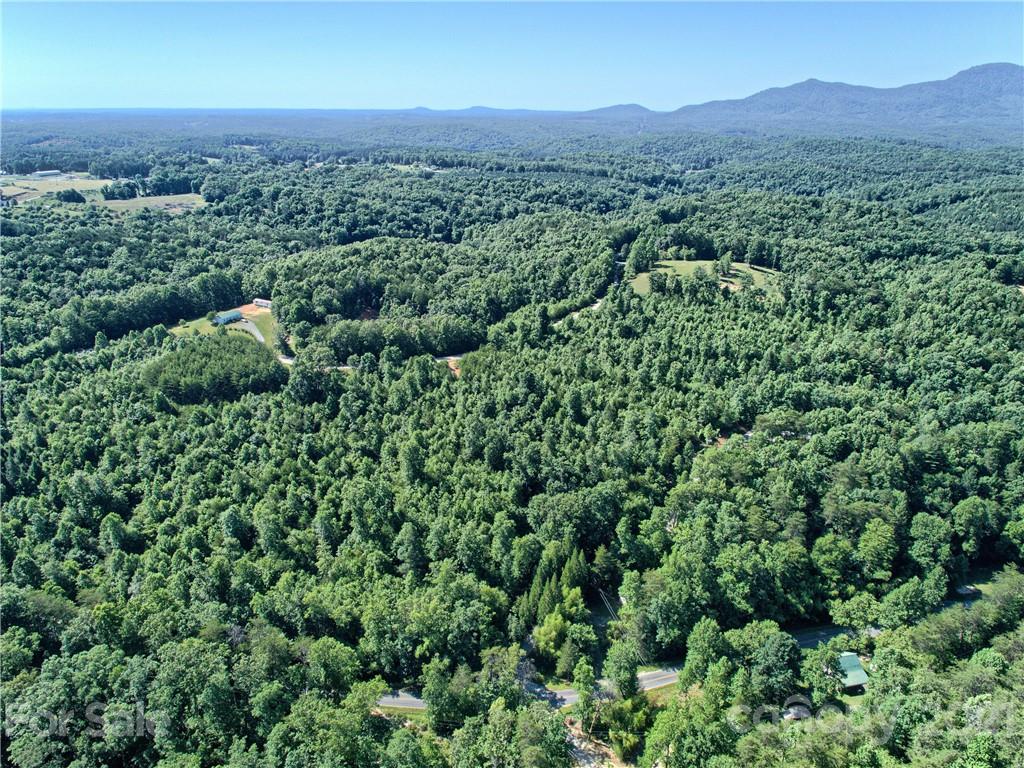 0 Bill Jackson Road Mill Spring, NC 28756 - Photo 16 of 24 an aerial view of a houses with a lush green hillside