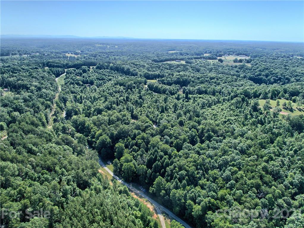 0 Bill Jackson Road Mill Spring, NC 28756 - Photo 17 of 24 an aerial view of a houses with a yard