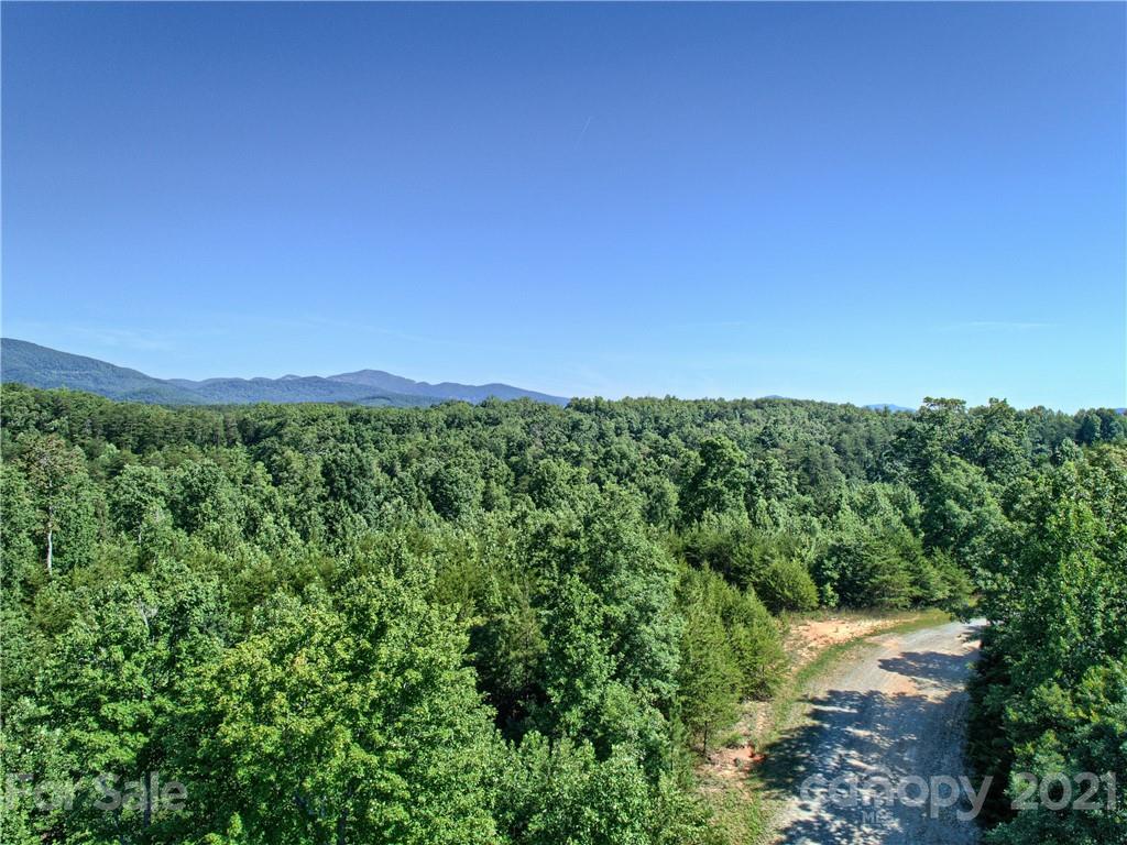 0 Bill Jackson Road Mill Spring, NC 28756 - Photo 20 of 24 a view of a lush green space with sea