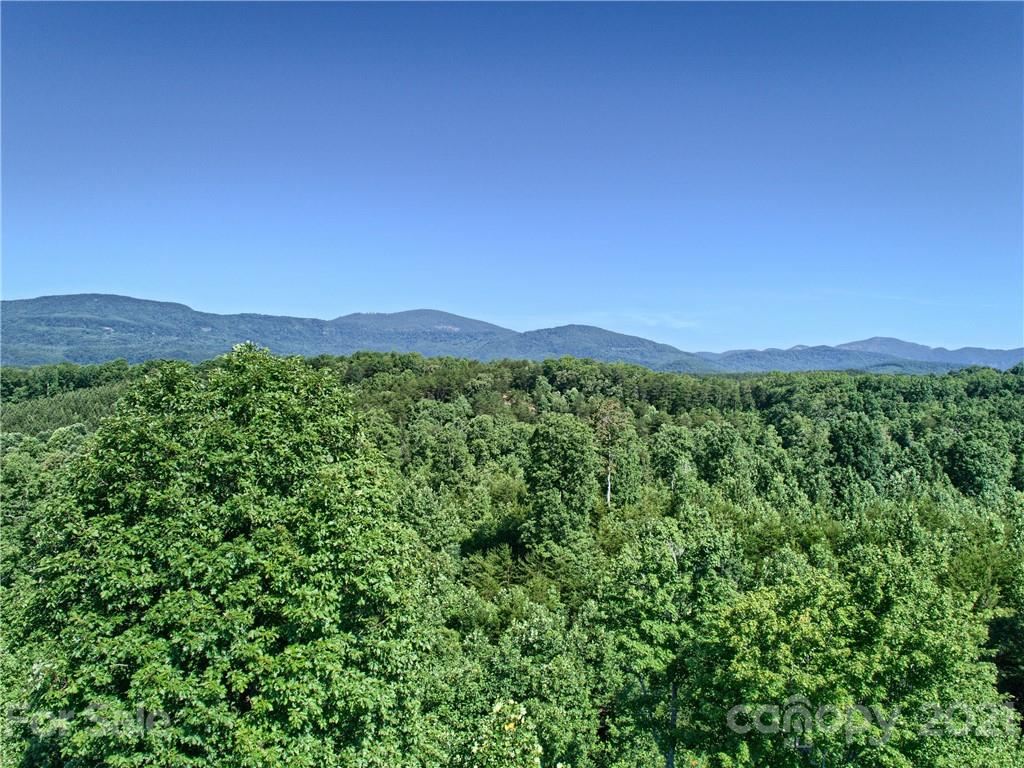 0 Bill Jackson Road Mill Spring, NC 28756 - Photo 21 of 24 a view of a lush green outdoor space with a mountain view