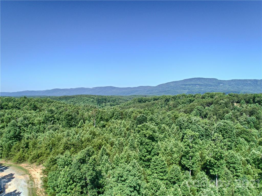 0 Bill Jackson Road Mill Spring, NC 28756 - Photo 22 of 24 a view of a lush green field with lots of bushes