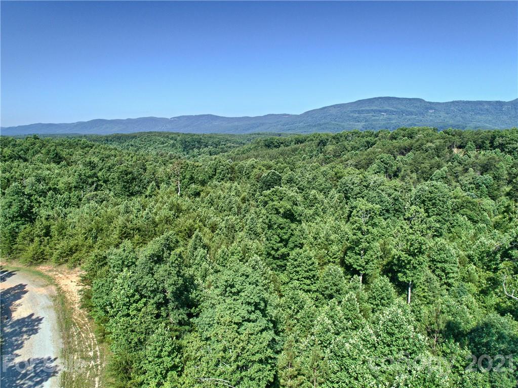 0 Bill Jackson Road Mill Spring, NC 28756 - Photo 23 of 24 a view of a lush green outdoor space with a mountain in the background