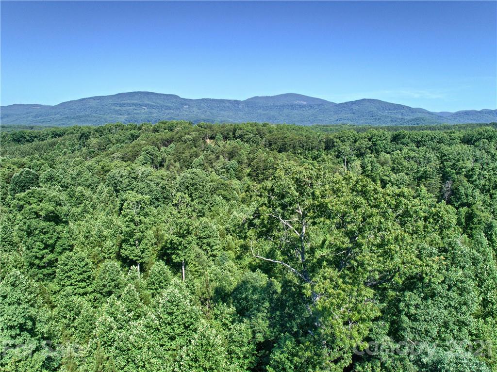 0 Bill Jackson Road Mill Spring, NC 28756 - Photo 24 of 24 a view of a lush green hillside and a mountain