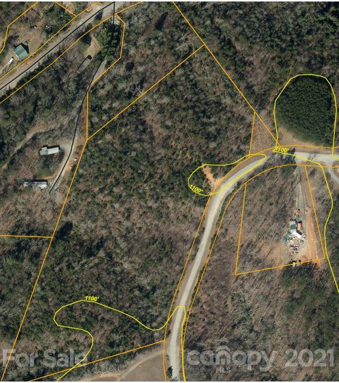 0 Bill Jackson Road Mill Spring, NC 28756 - Photo 4 of 24