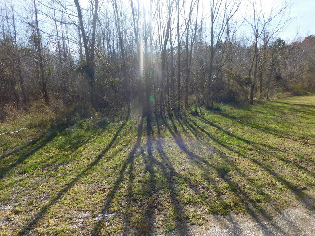 0 Occohannock Neck Road, Unit 10 Exmore, VA 23350 - Photo 3 of 15