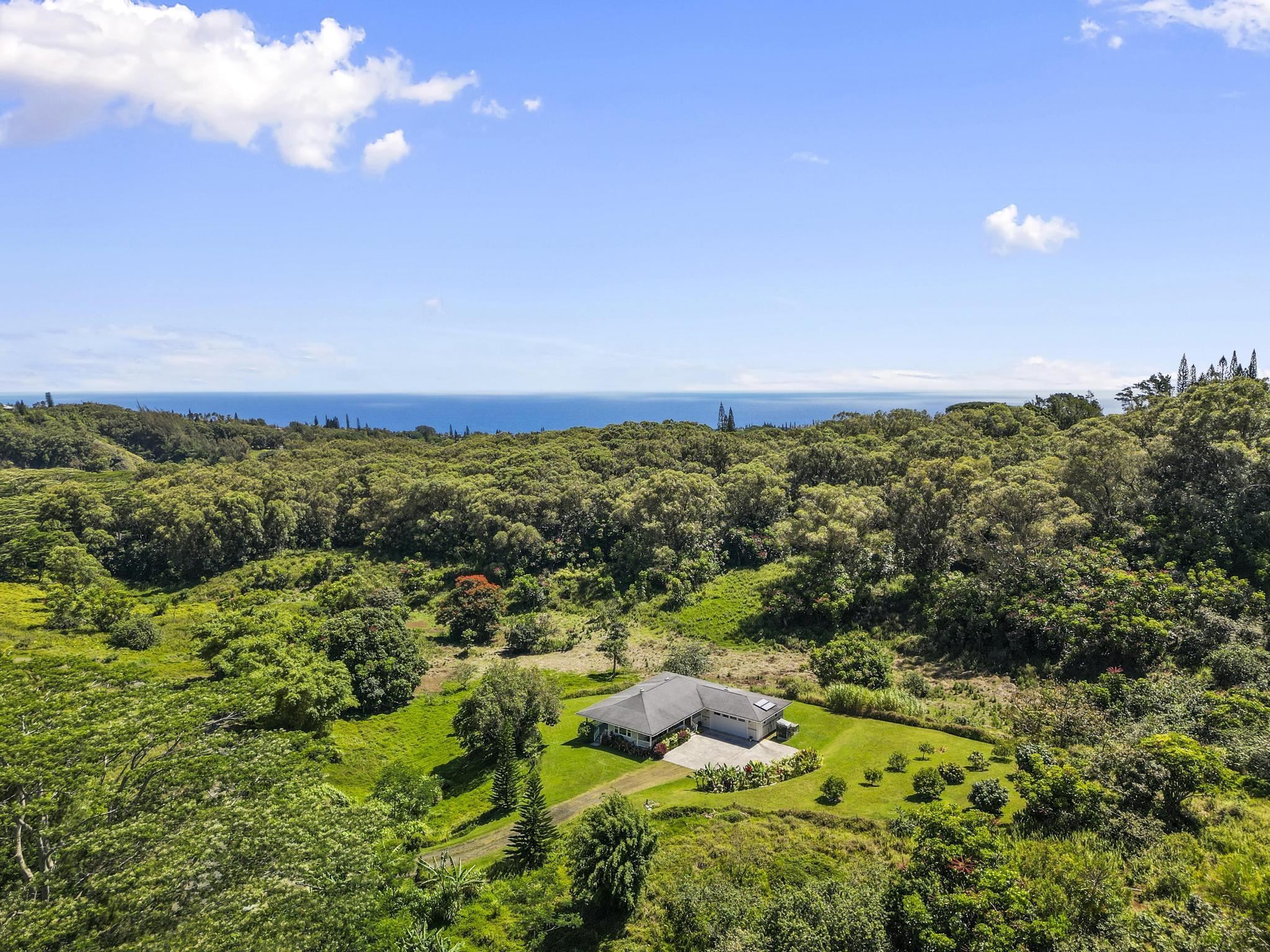 896 Hoomalolo Place, Unit B Haiku, HI 96708 - Photo 39 of 44 a view of a green field with lots of bushes