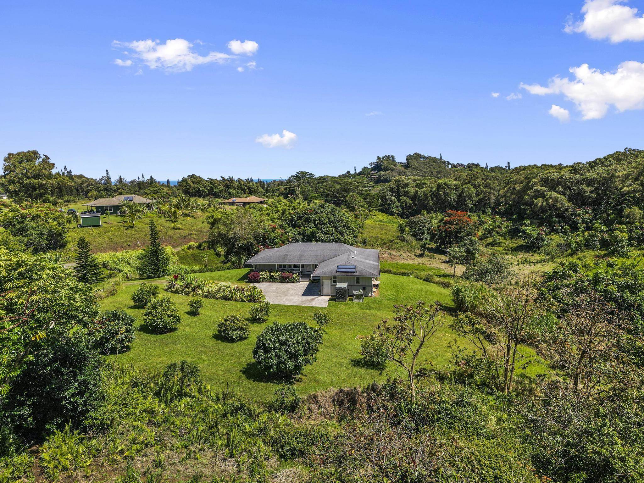 896 Hoomalolo Place, Unit B Haiku, HI 96708 - Photo 42 of 44 a view of a lush green yard with a tree