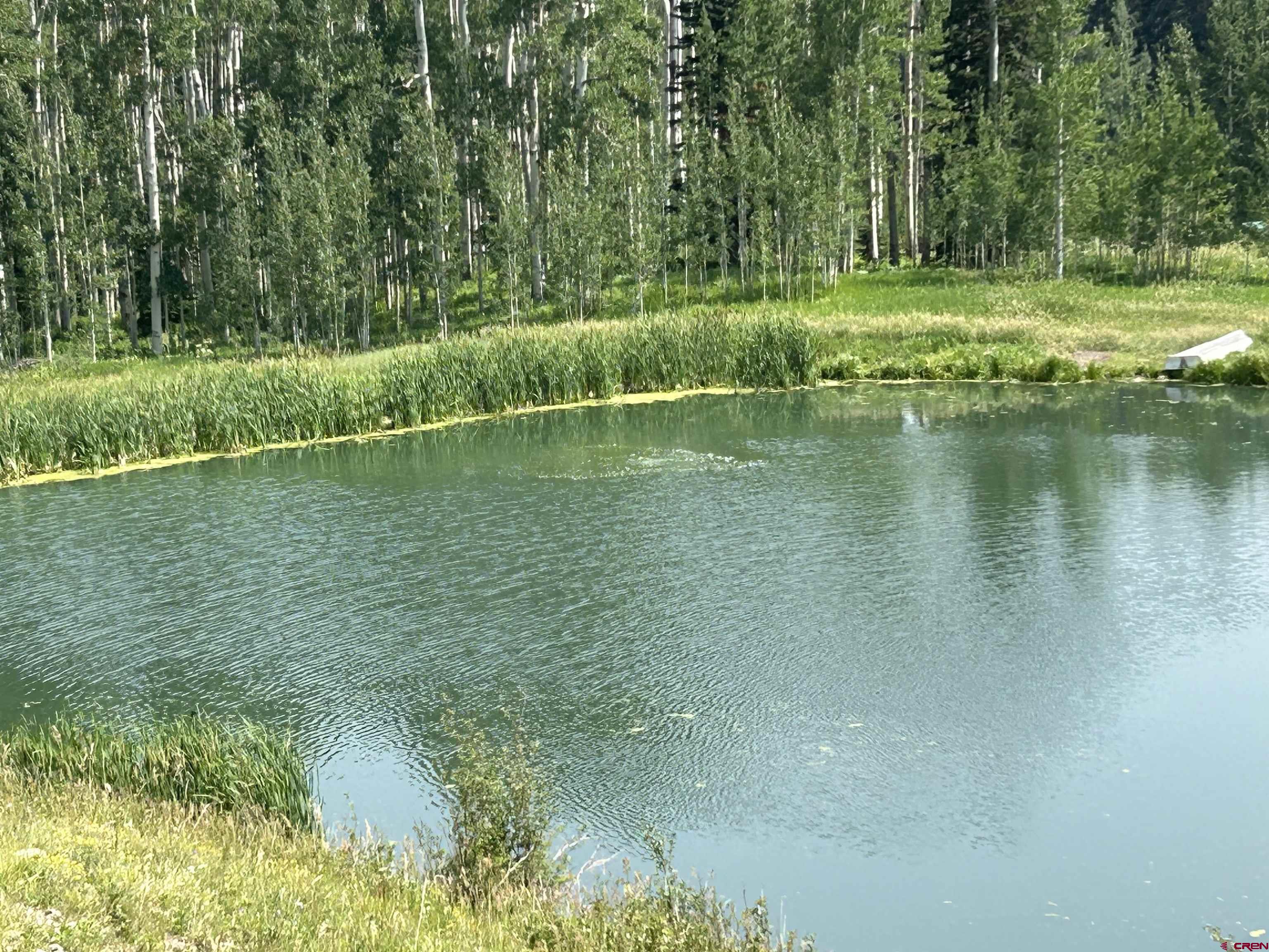 471 Hampton Road Montrose, CO 81220 - Photo 5 of 31 Gallery Image 5