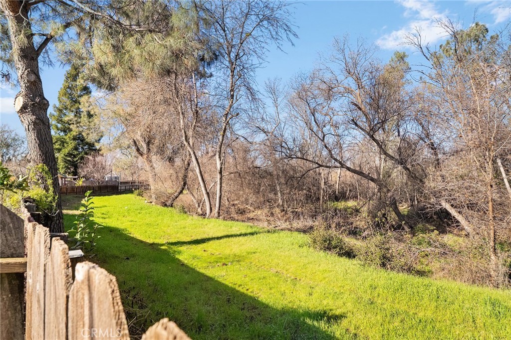 250 Picholine Way Chico, CA 95928 - Photo 48 of 53