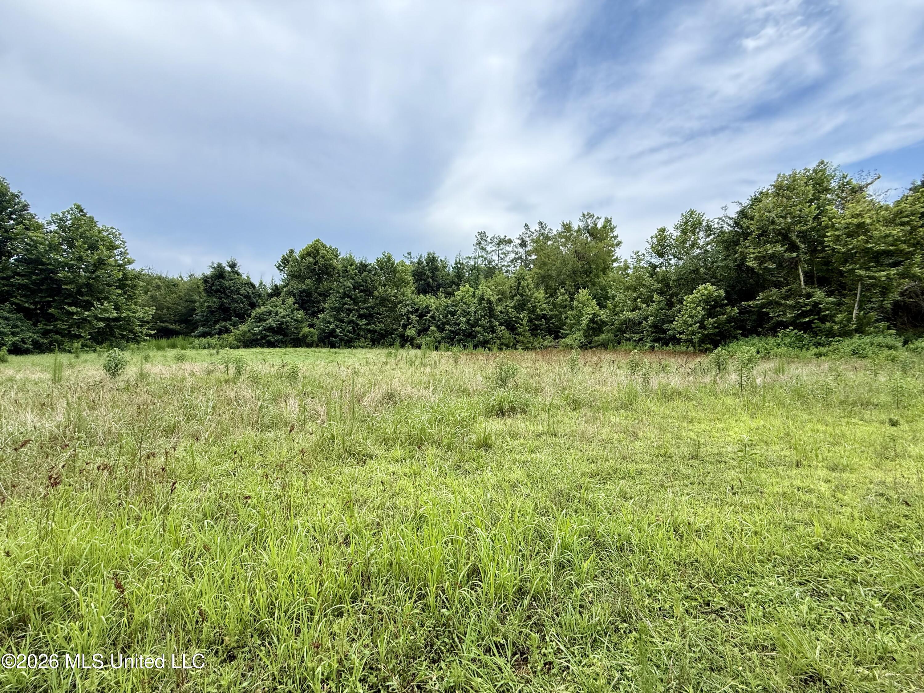 568 Smith-Bailey Road Durant, MS 39063 - Photo 45 of 81 Photo Jul 02 2026, 2 19 46 PM