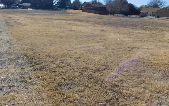 a view of an ocean beach