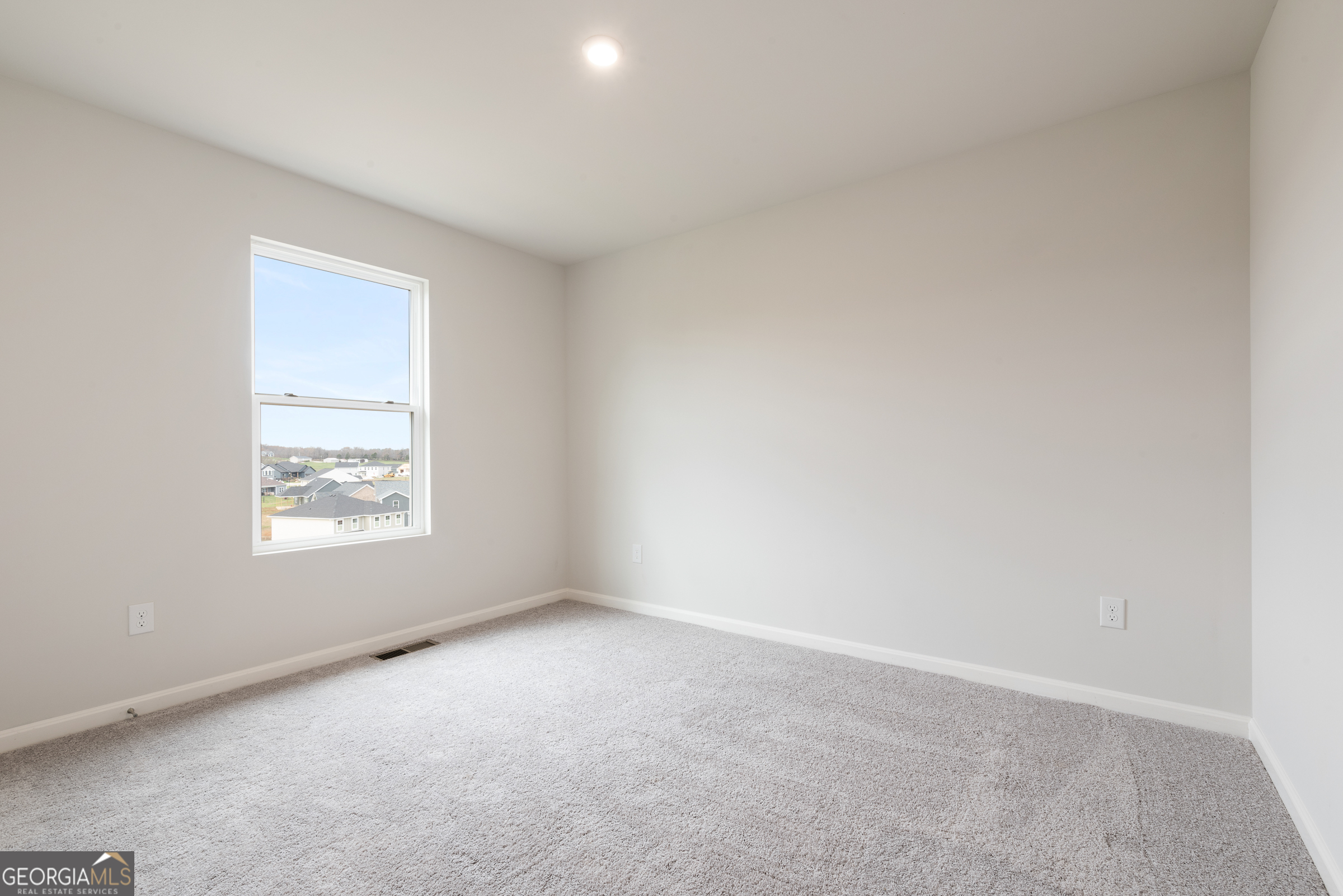 236 Golden Raintree Drive Jackson, GA 30233 - Photo 20 of 29