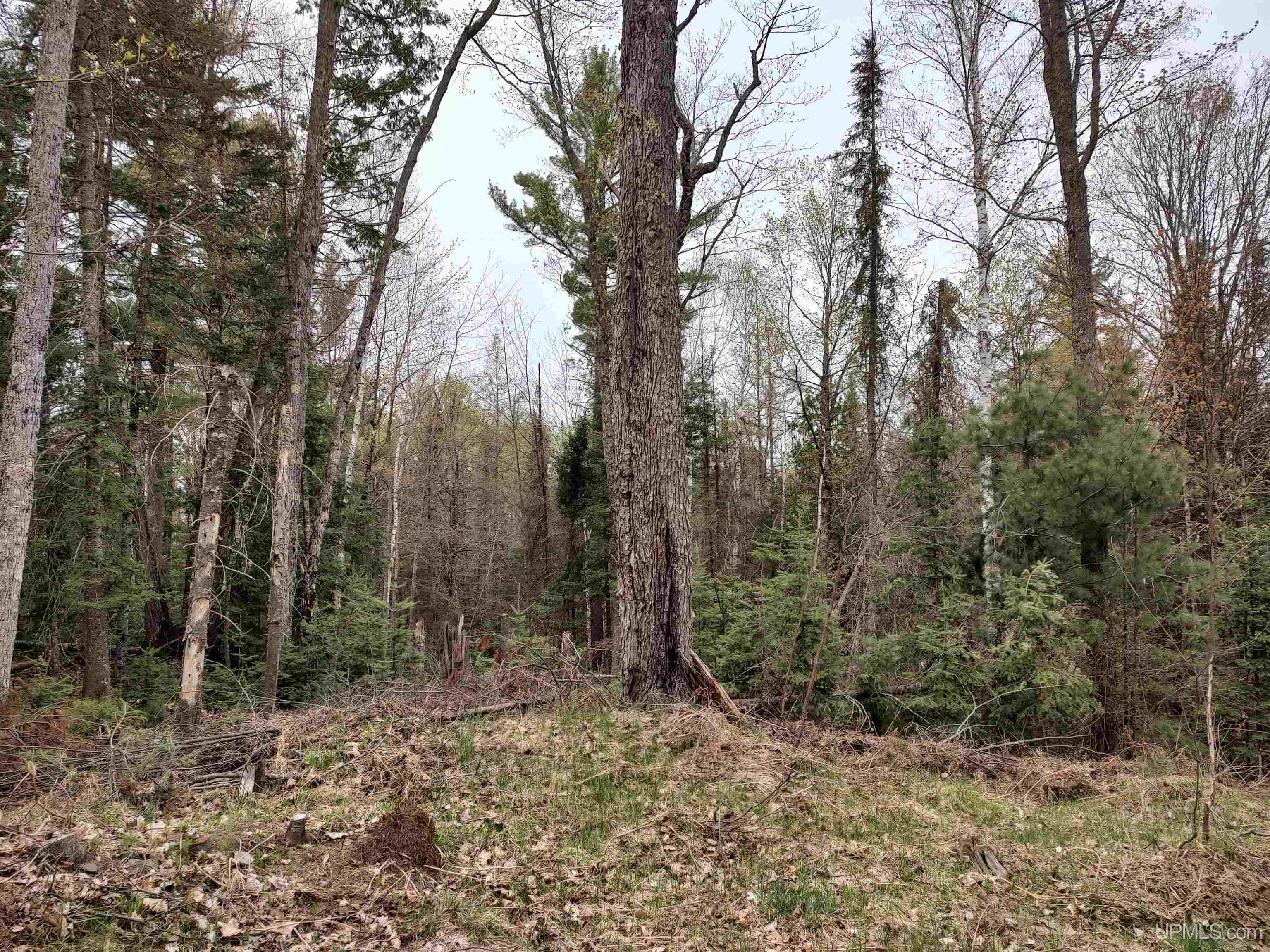 10 Fence Lake Road Michigamme, MI 49861 - Photo 31 of 42