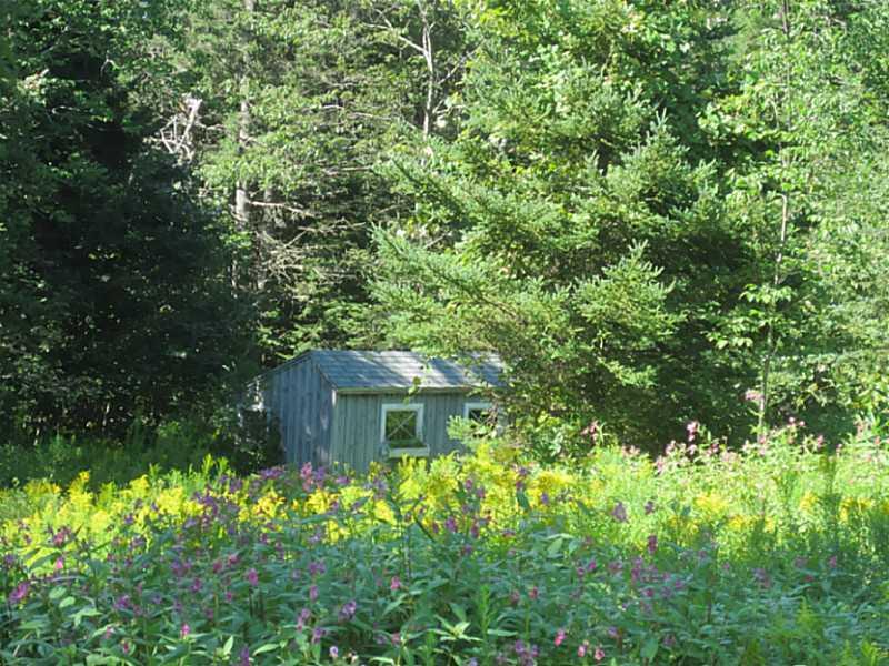 44 Carl Bailey Road Walpole, ME 04573 - Photo 10 of 35 Other.