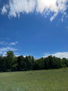T/b/d Fieldcrest Road Sister Bay, WI 54234 - Photo 14 of 15