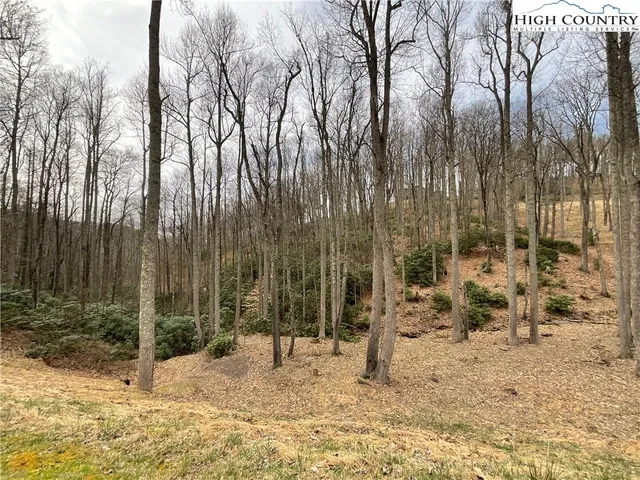 a view of large space with trees