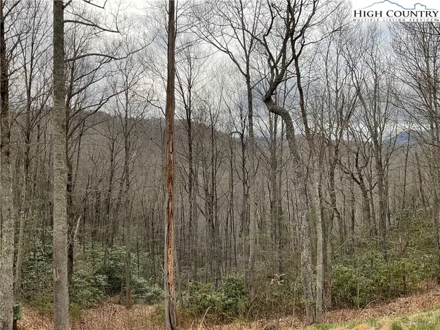 a view of fountain in the terrace