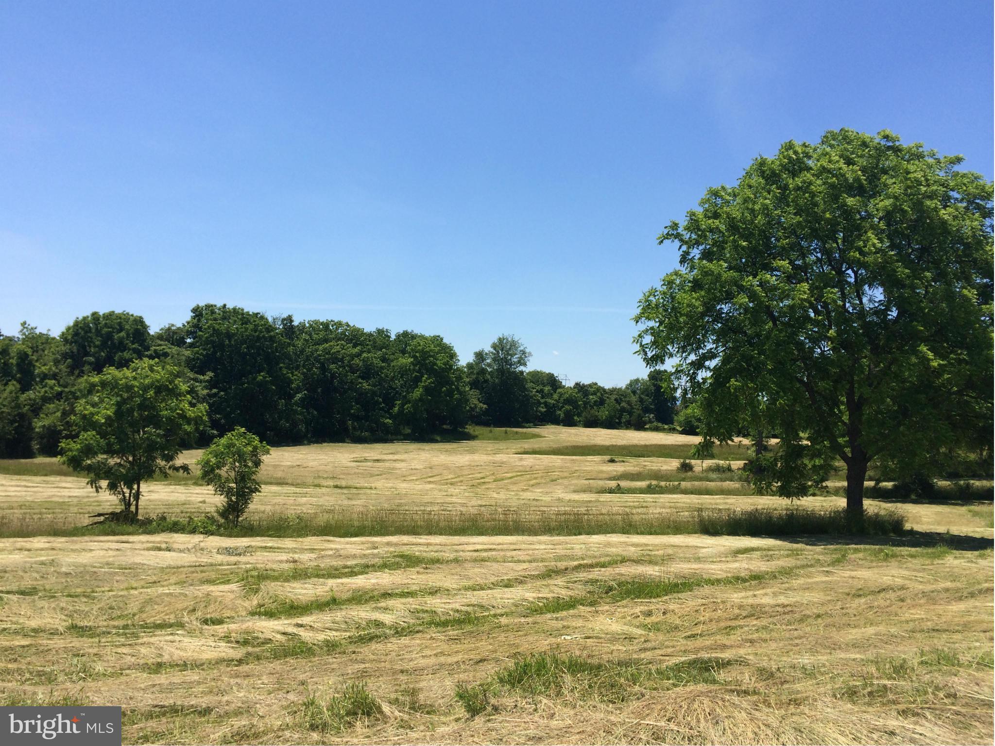 Buffalo Marsh Road Middletown, VA 22645 - Photo 2 of 14 View