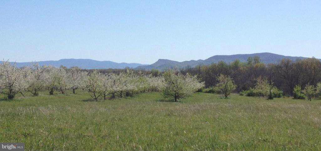 Buffalo Marsh Road Middletown, VA 22645 - Photo 3 of 14 Spectacular Views