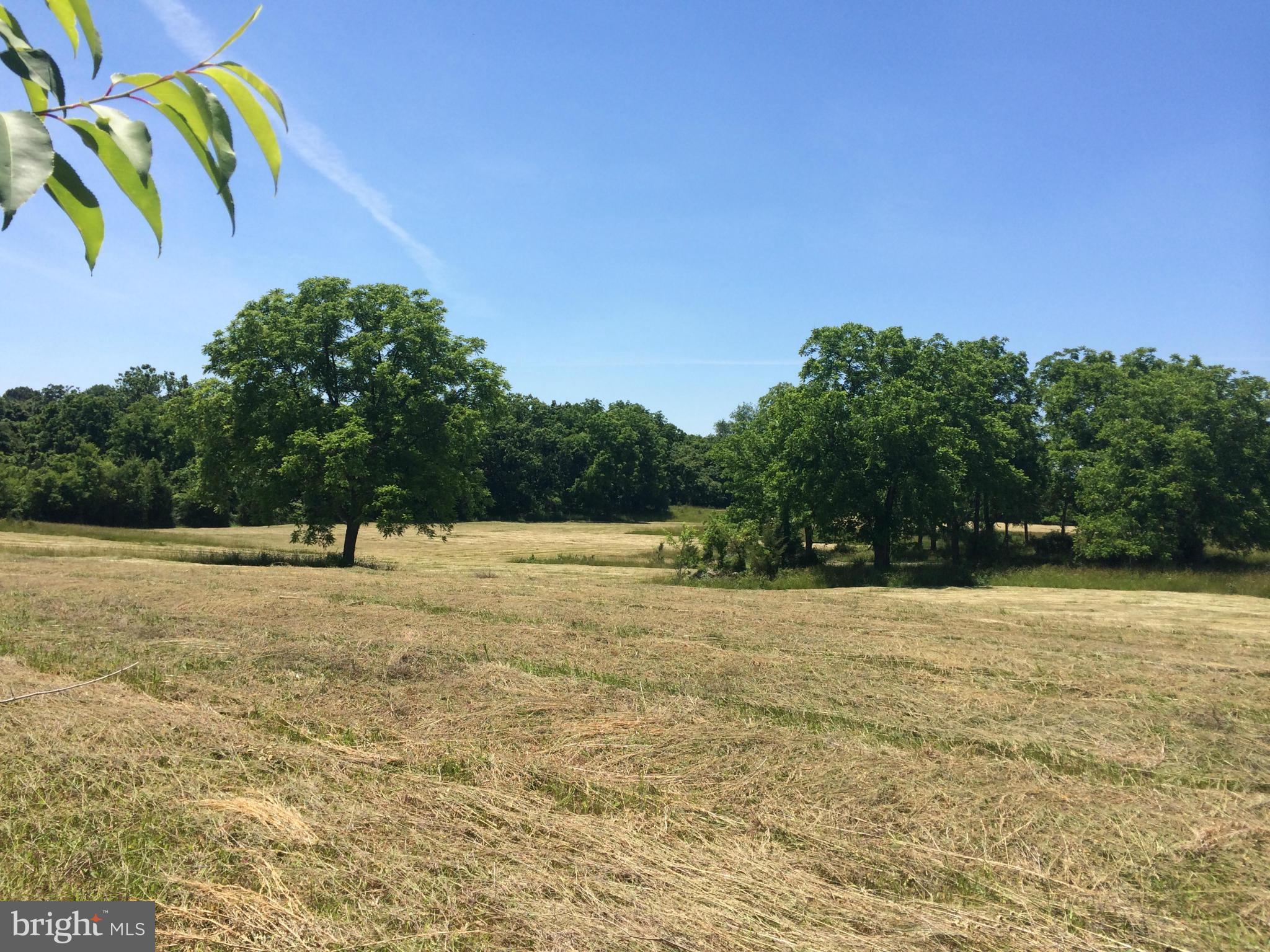 Buffalo Marsh Road Middletown, VA 22645 - Photo 5 of 14 Lots of Privacy