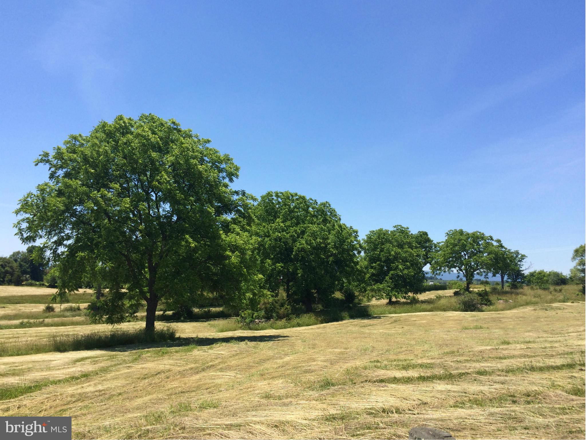 Buffalo Marsh Road Middletown, VA 22645 - Photo 9 of 14 Mature Trees
