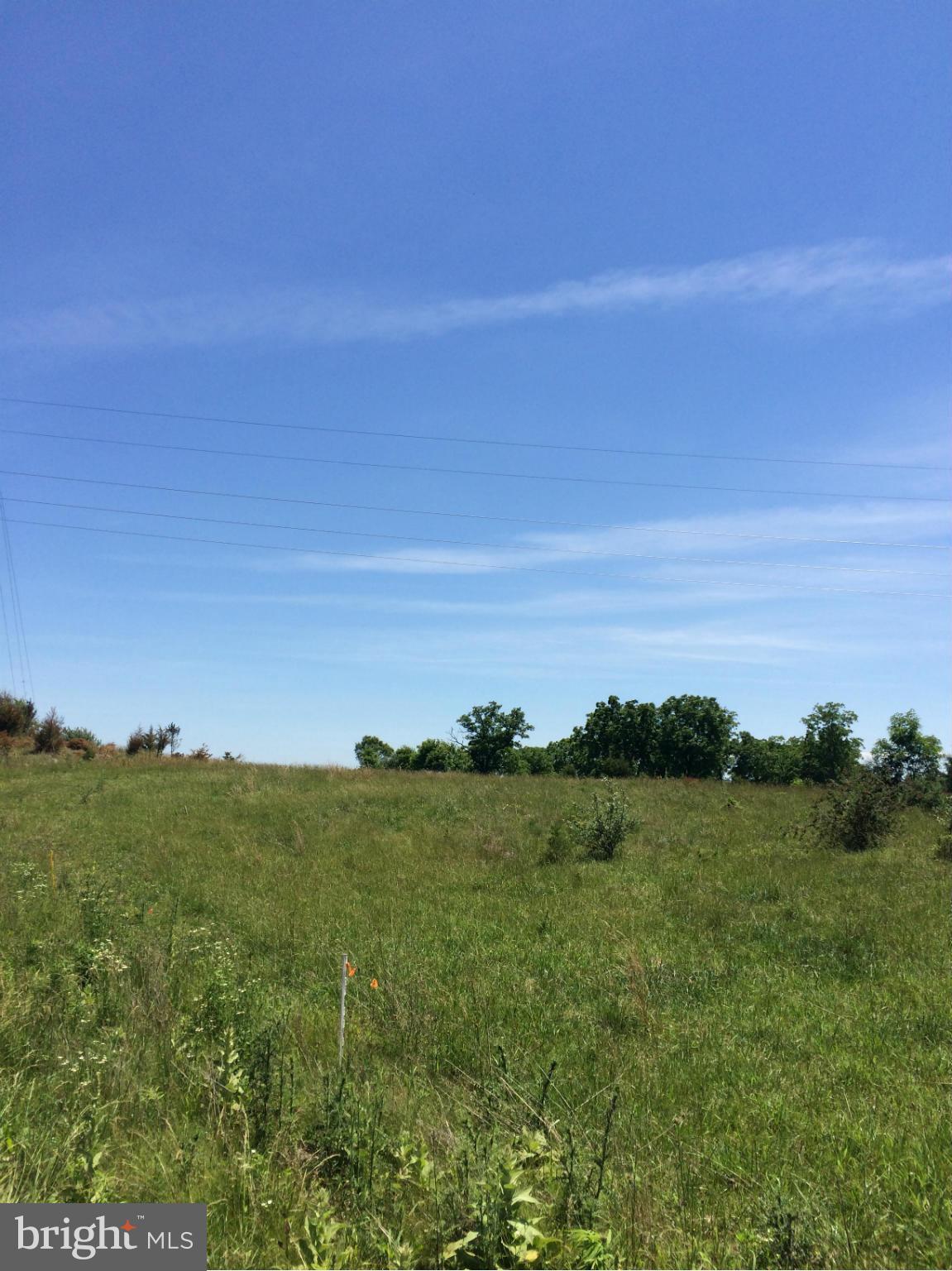 Buffalo Marsh Road Middletown, VA 22645 - Photo 10 of 14 Rolling land