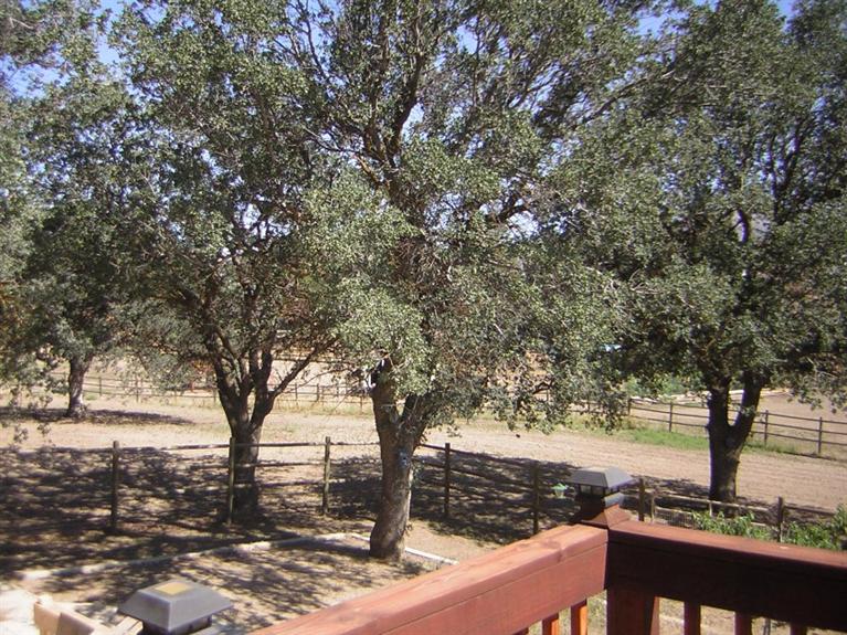 22651 Tree Court Tehachapi, CA 93561 - Photo 31 of 55 Gallery Image 31