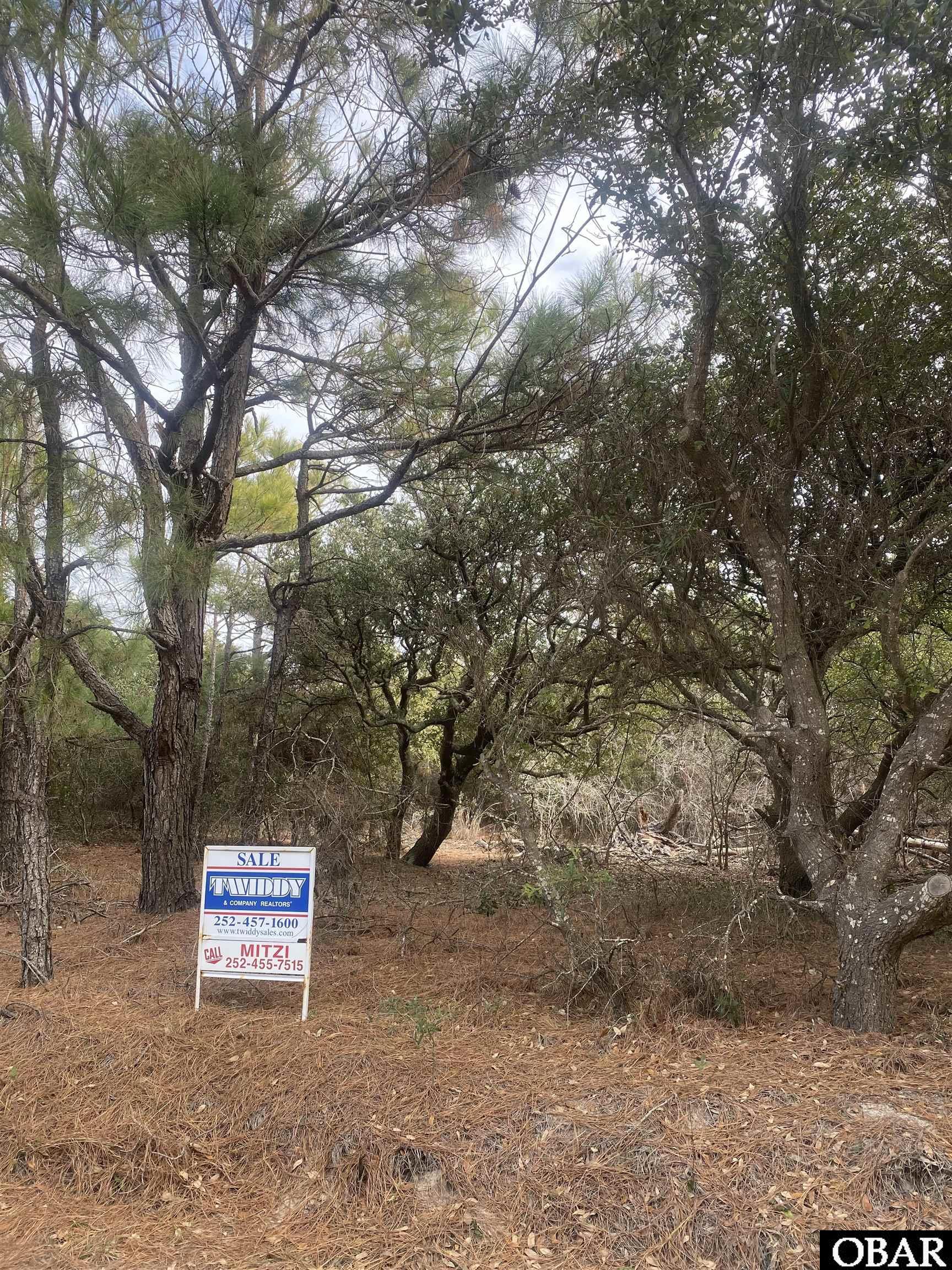2313 Sandpiper Road Corolla, NC 27927 - Photo 5 of 25