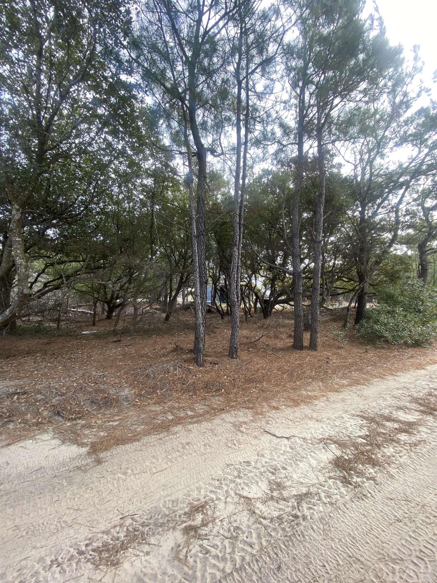 2313 Sandpiper Road Corolla, NC 27927 - Photo 7 of 25