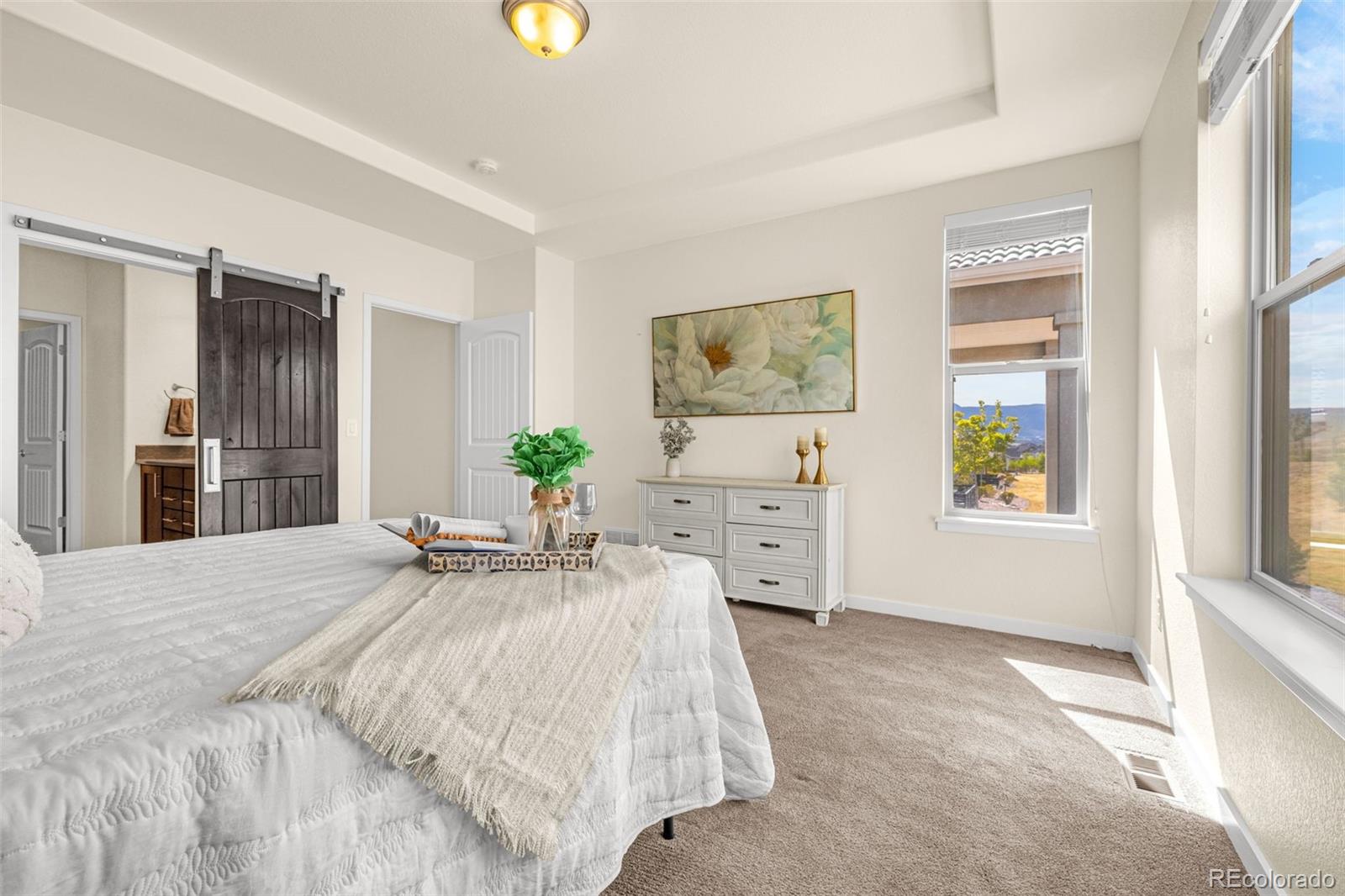 2052 Ruffino Drive Colorado Springs, CO 80921 - Photo 12 of 36 a spacious bedroom with a bed and a cabinets
