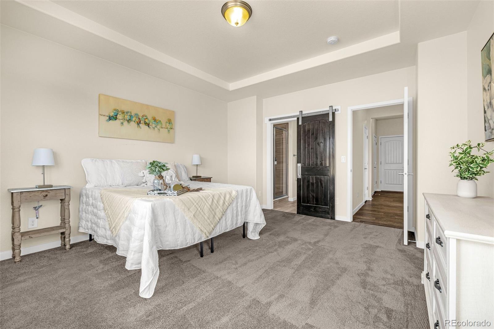 2052 Ruffino Drive Colorado Springs, CO 80921 - Photo 13 of 36 a spacious bedroom with a bed and a cabinets