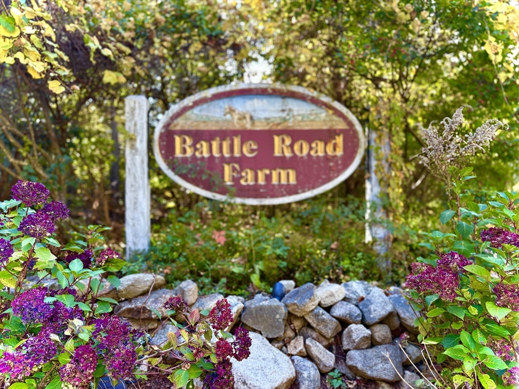 29d S Commons, Unit D Lincoln, MA 01773 - Photo 28 of 36 a sign that is sitting in front of flowers