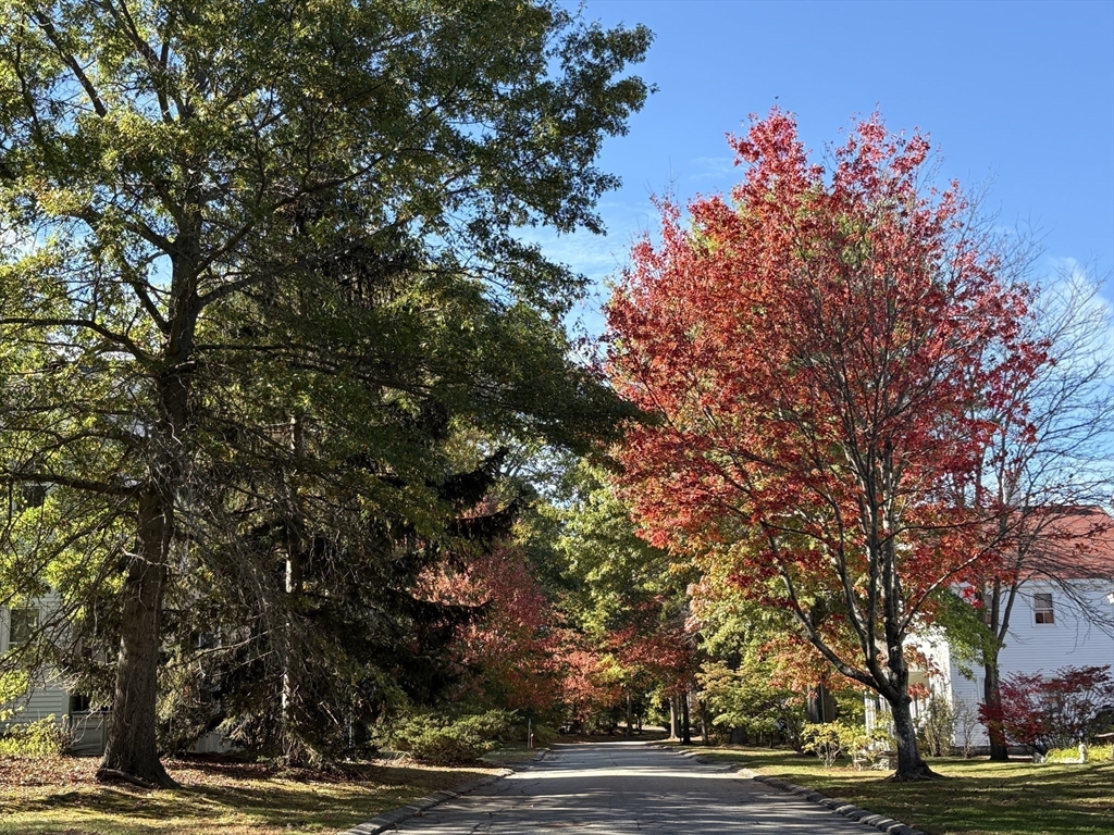 29d S Commons, Unit D Lincoln, MA 01773 - Photo 30 of 36 a view of a plants and trees in the background