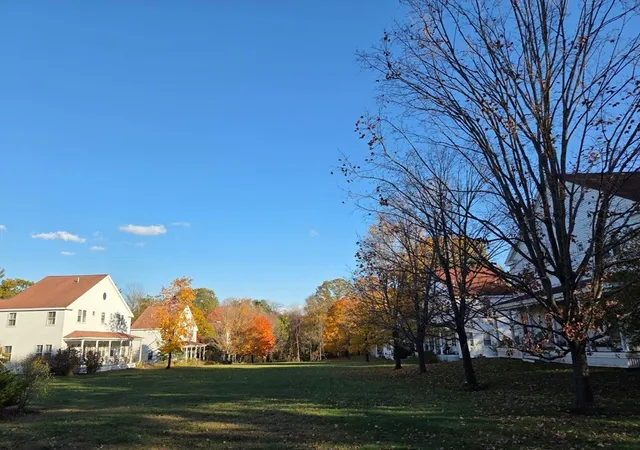 a view of a yard with a house