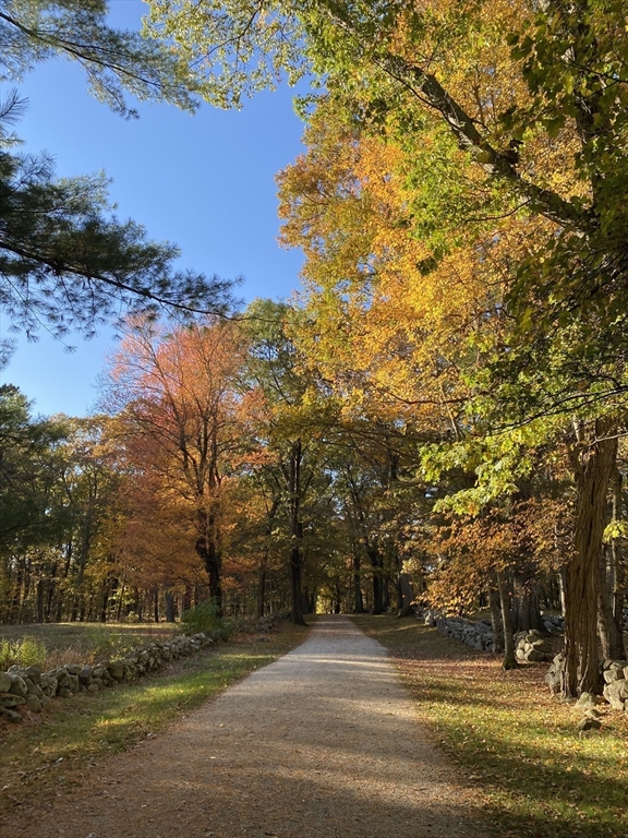 29d S Commons, Unit D Lincoln, MA 01773 - Photo 34 of 36 a view of a yard