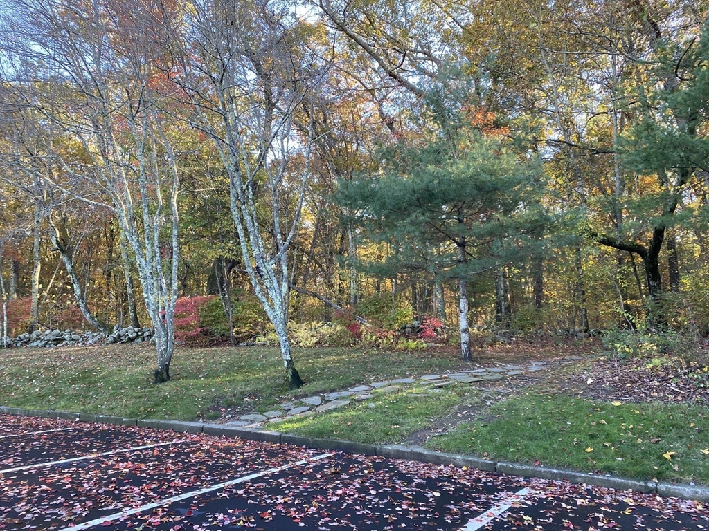 29d S Commons, Unit D Lincoln, MA 01773 - Photo 35 of 36 a view of park