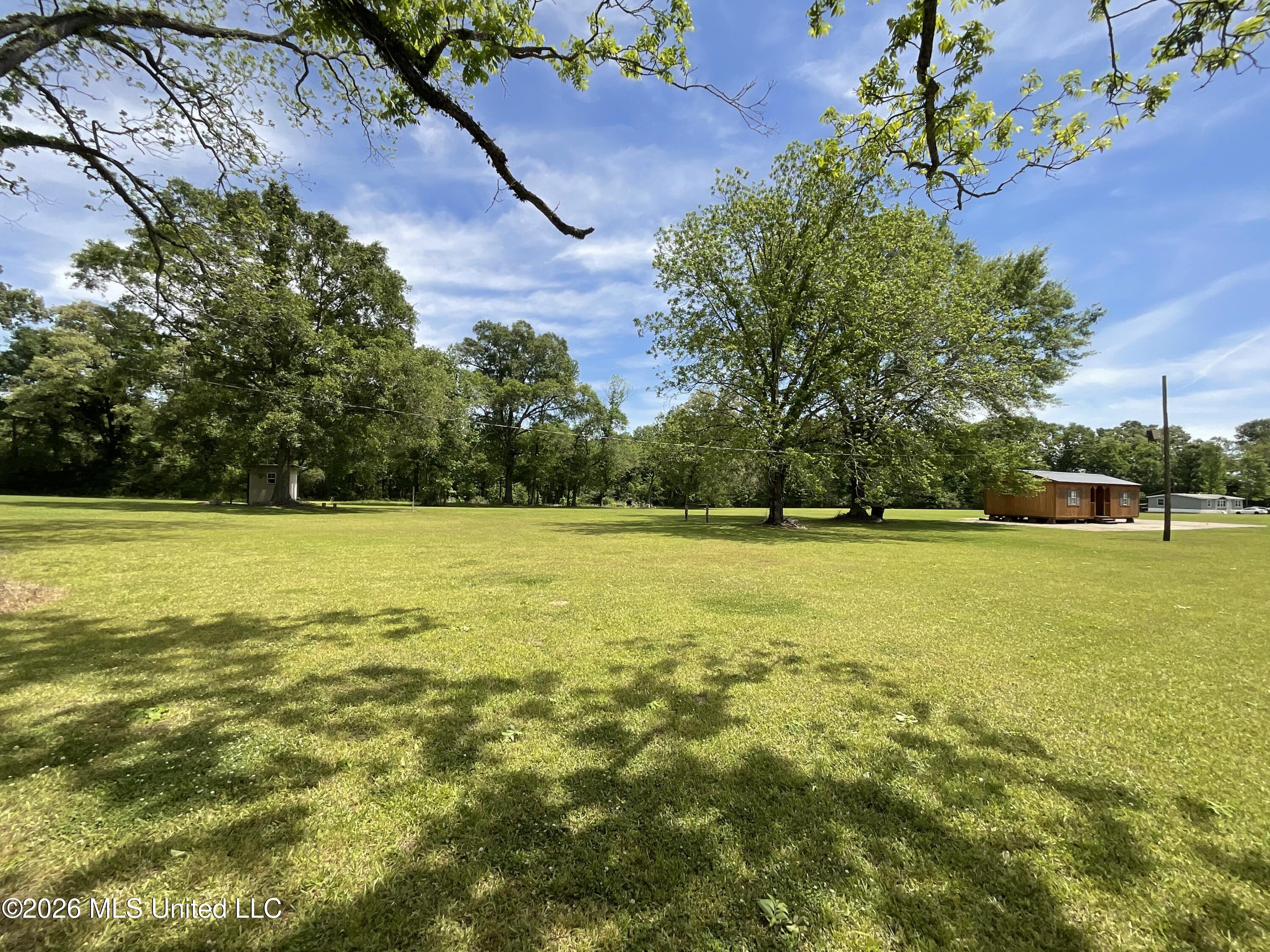 12007 Highway 16 Benton, MS 39039 - Photo 6 of 24 IMG_1971