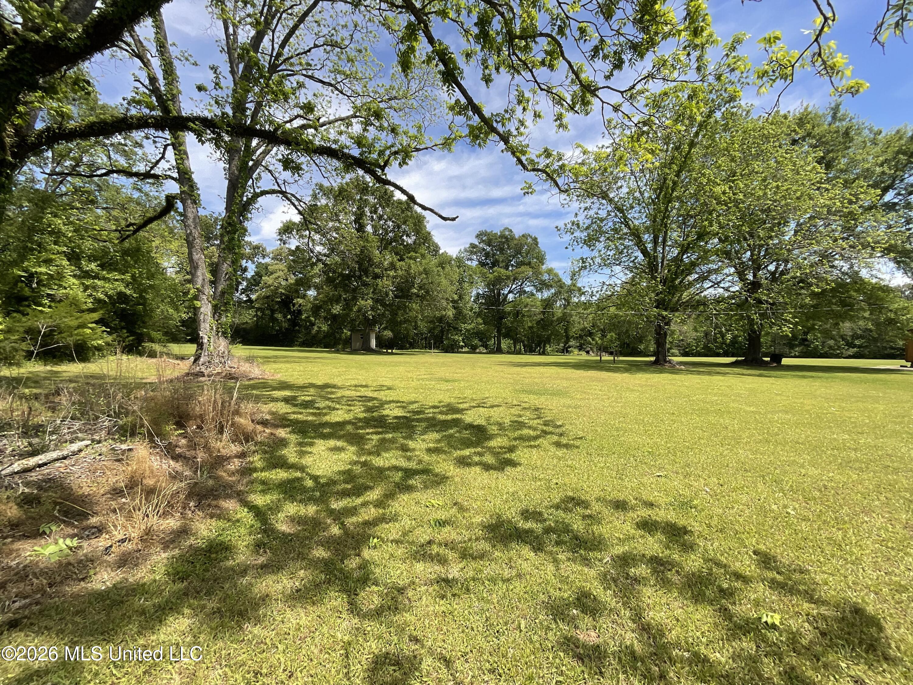 12007 Highway 16 Benton, MS 39039 - Photo 8 of 24 IMG_1970