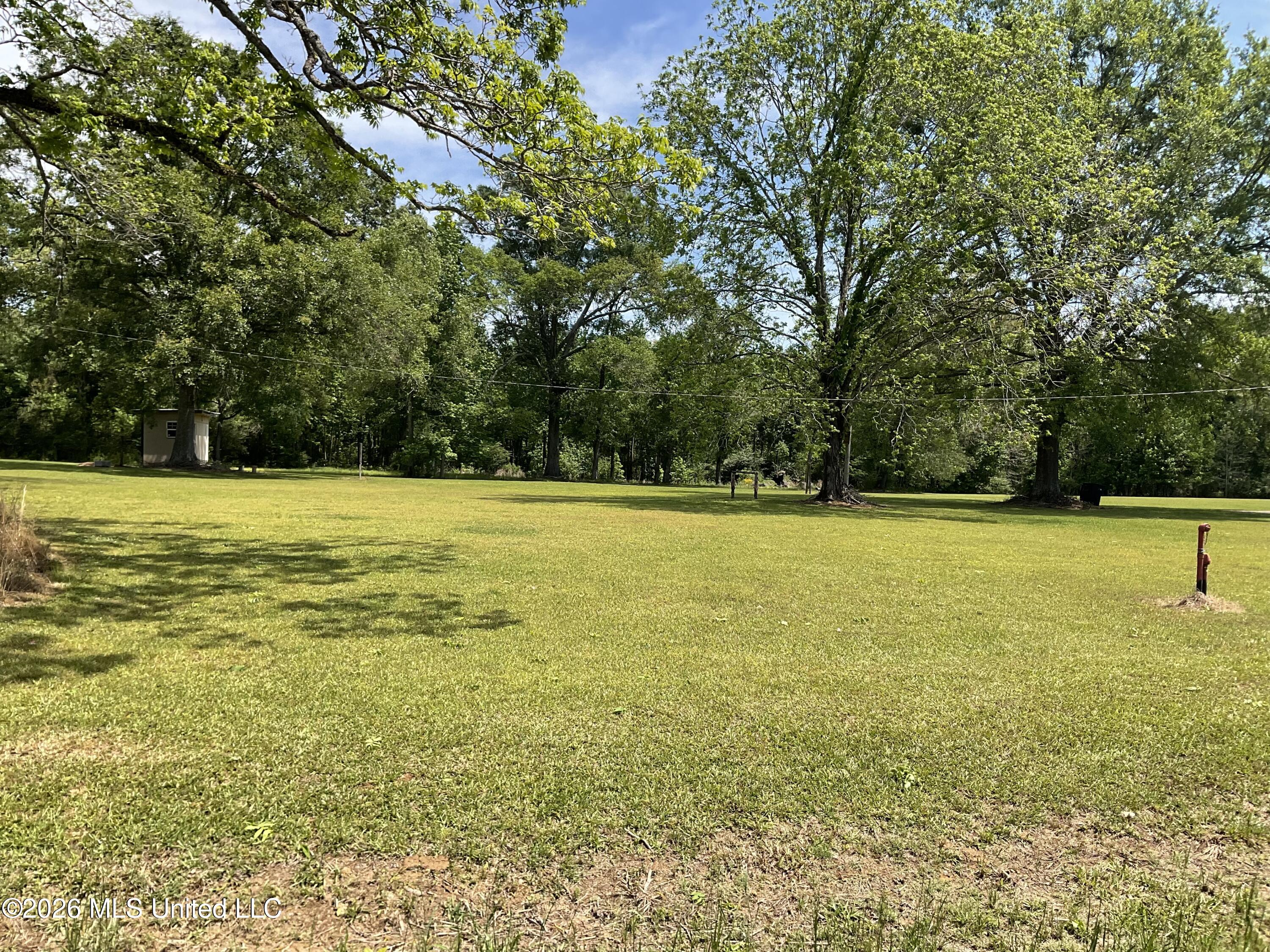 12007 Highway 16 Benton, MS 39039 - Photo 9 of 24 IMG_1943