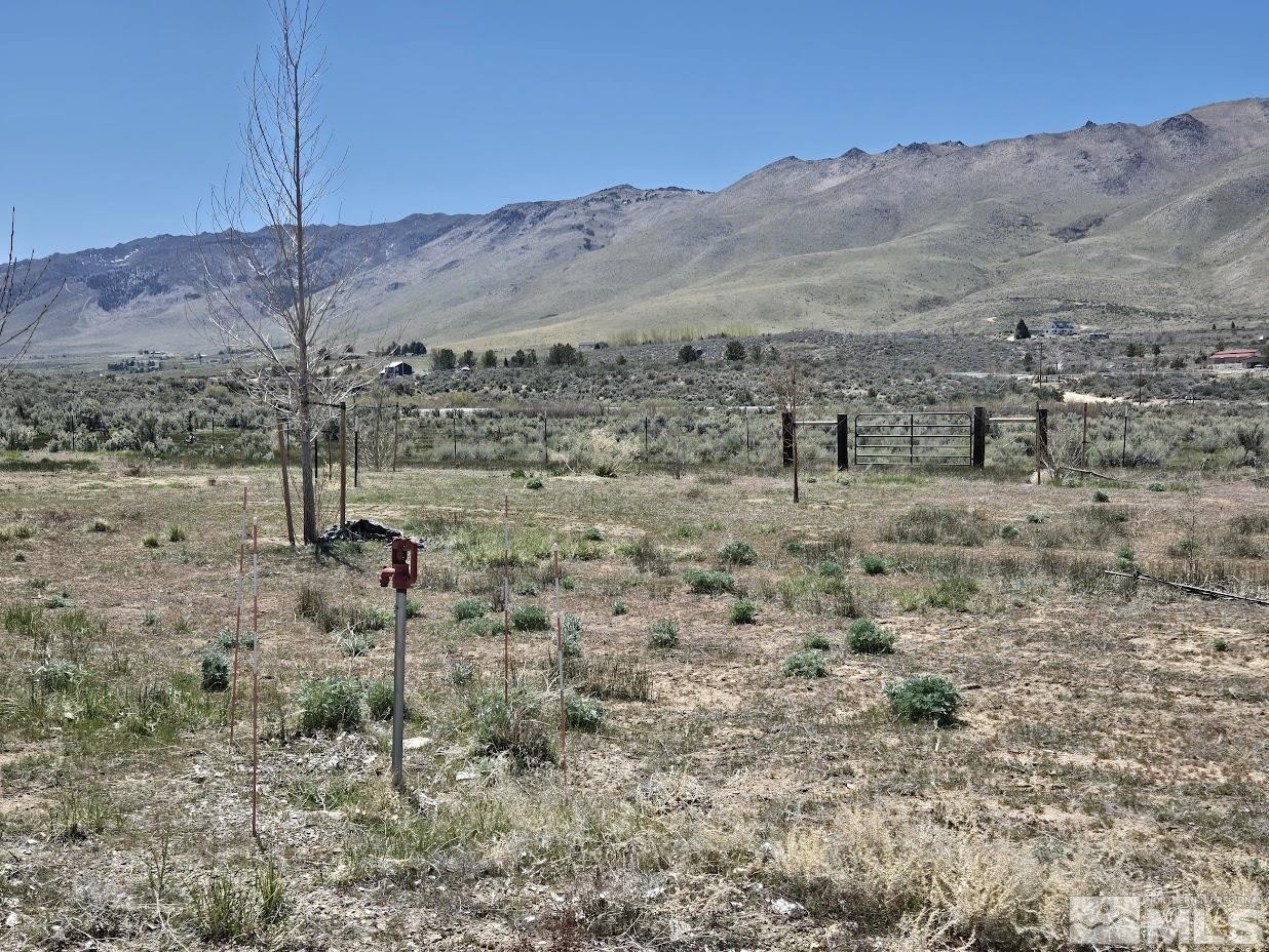 16100 North Red Rock Road Reno, NV 89508 - Photo 9 of 18 a view of a dry field with mountains in the background