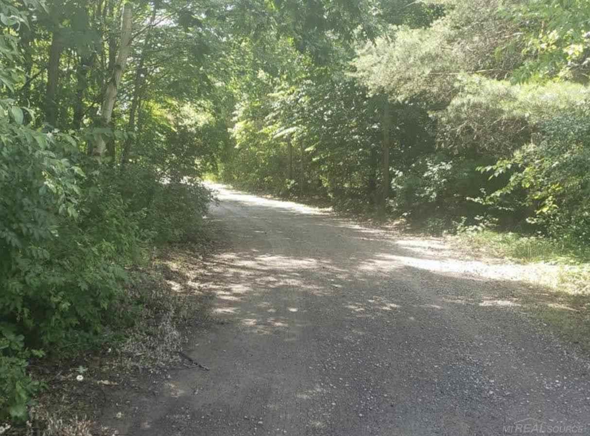 4097 County Line Road Casco, MI 48064 - Photo 4 of 35