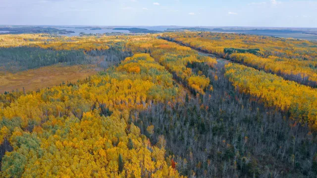 $35,900 | 115 Greenwood Twp Mn 55790, Tower, MN 55790