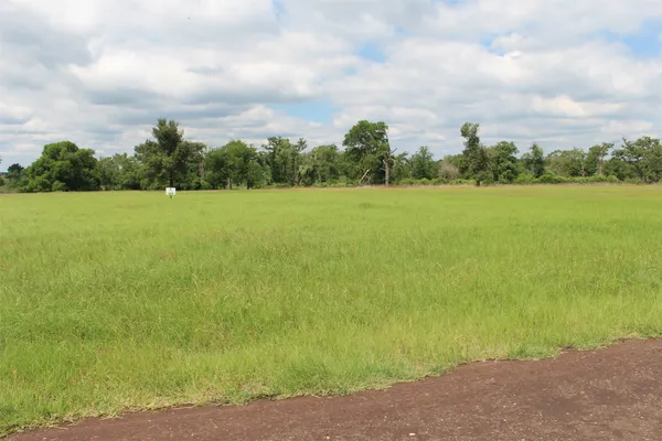 a view of a field with an ocean