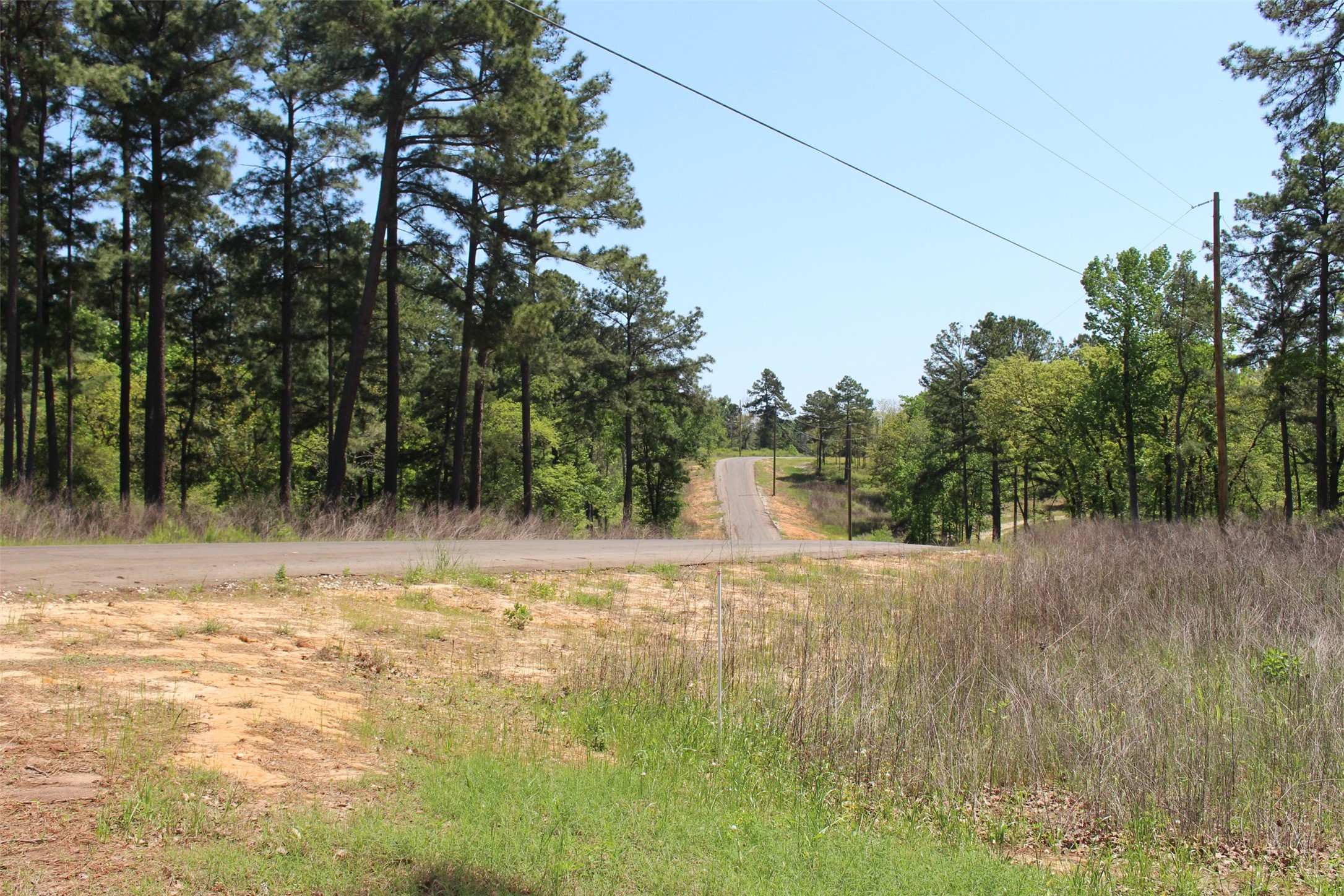 6 Private Road 1311 Centerville, TX 75833 - Photo 7 of 13 a view of dirt yard with trees