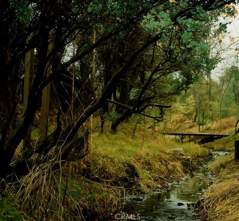 32413 Chickasaw Road Coarsegold, CA 93614 - Photo 64 of 67 Seasonal Creek